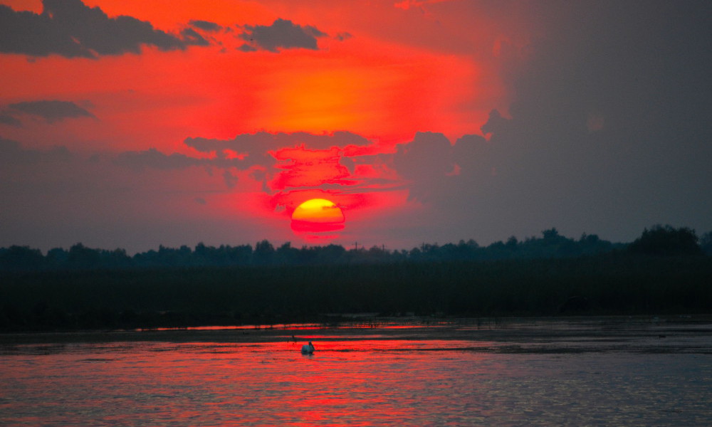 Foto delta del Danubio, Rumania