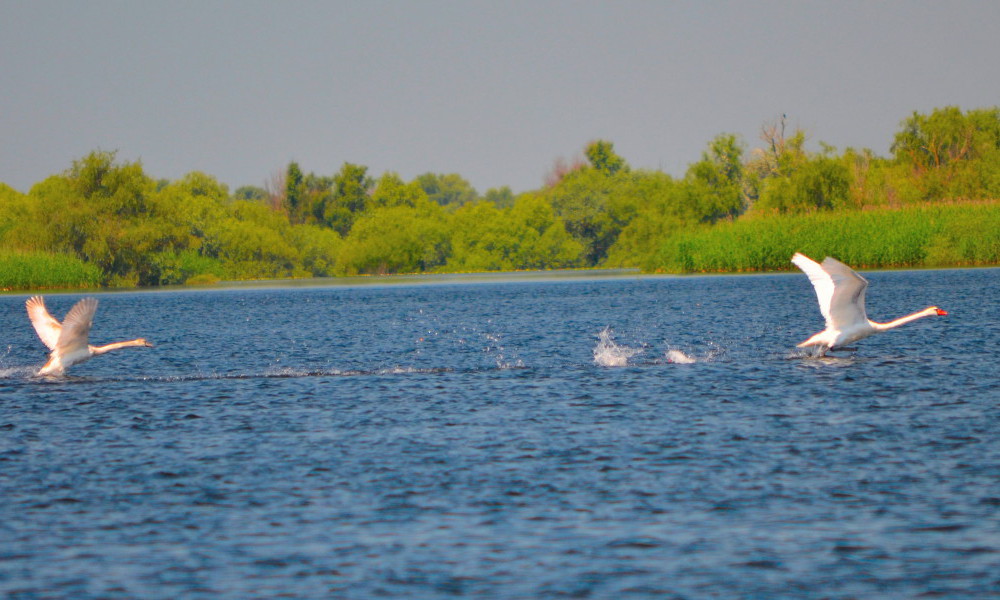 Delta del Danubio, viajes al delta del Danubio, Rumania