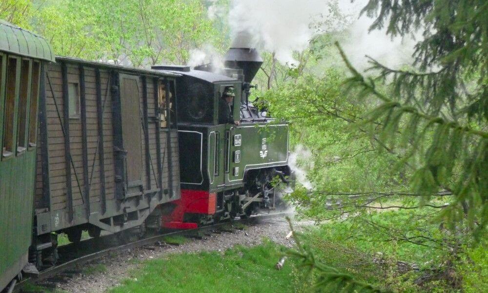 El tren de vapor Mocanita Maramures Rumania