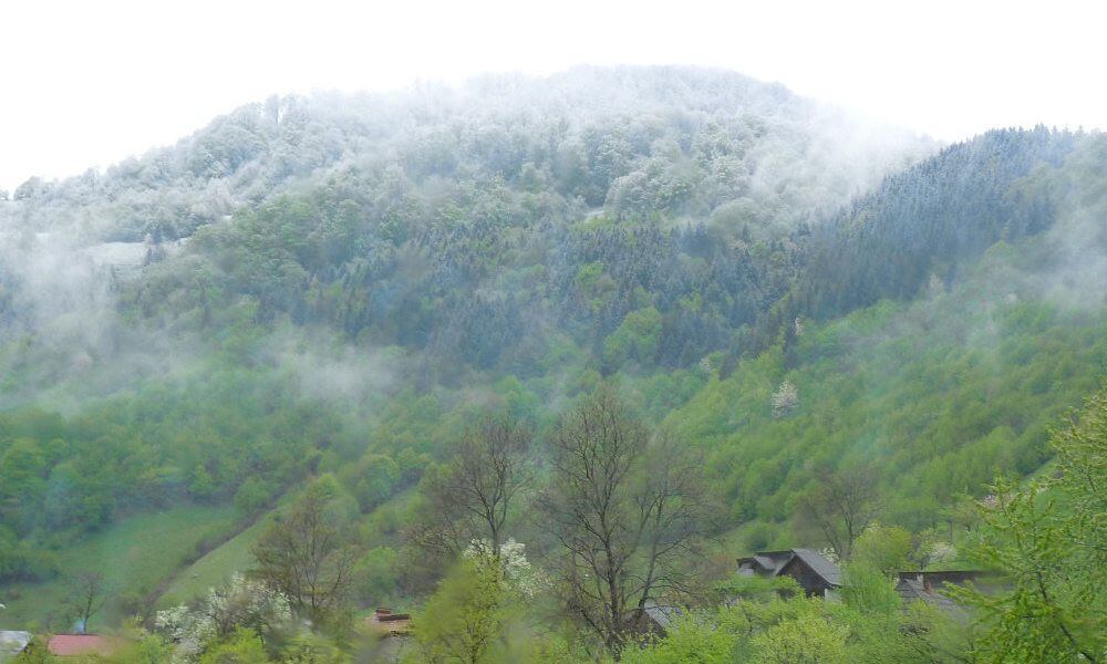 El tren de vapor Mocanita Maramures Rumania