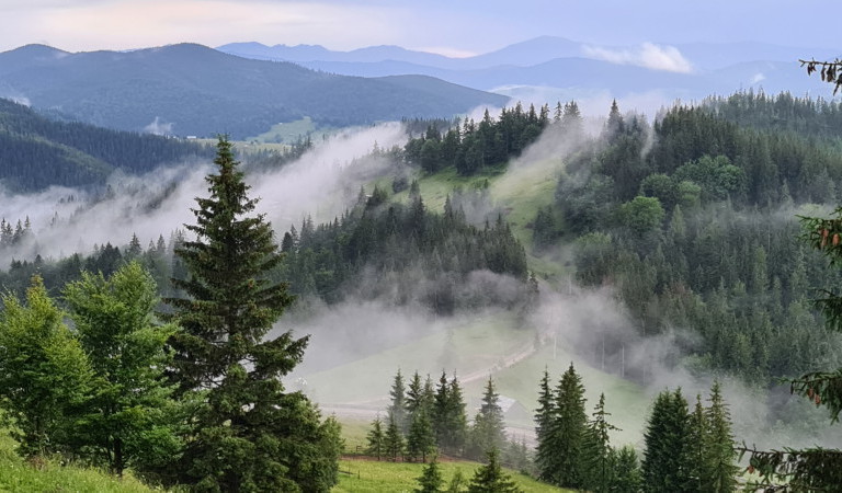 alojamiento en bucovina