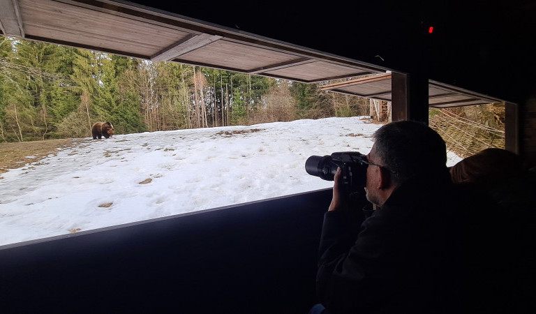 visitar rumania con dorin