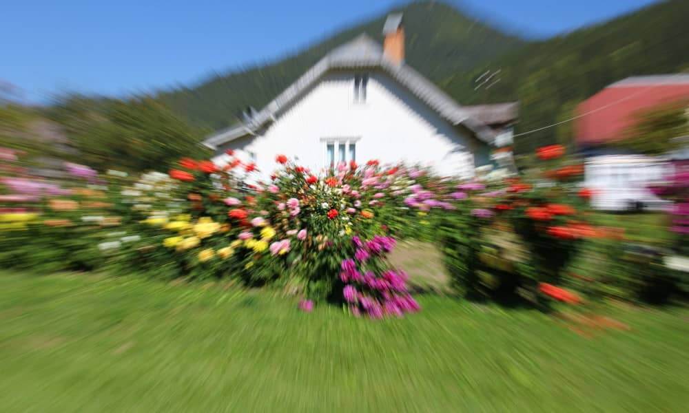 sitios de Bucovina