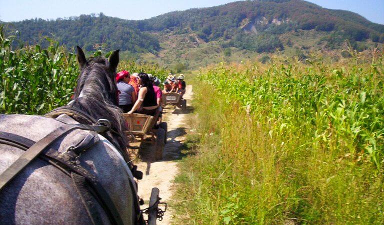 circuitos turisticos rumania