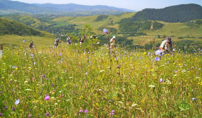 excursiones de senderismo rumania