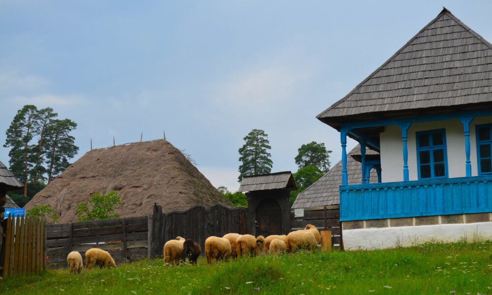Fotos viajes a Rumania