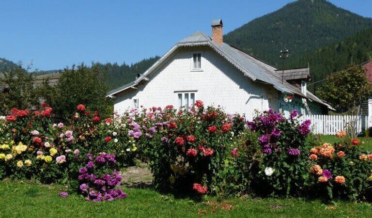 viajes bucovina