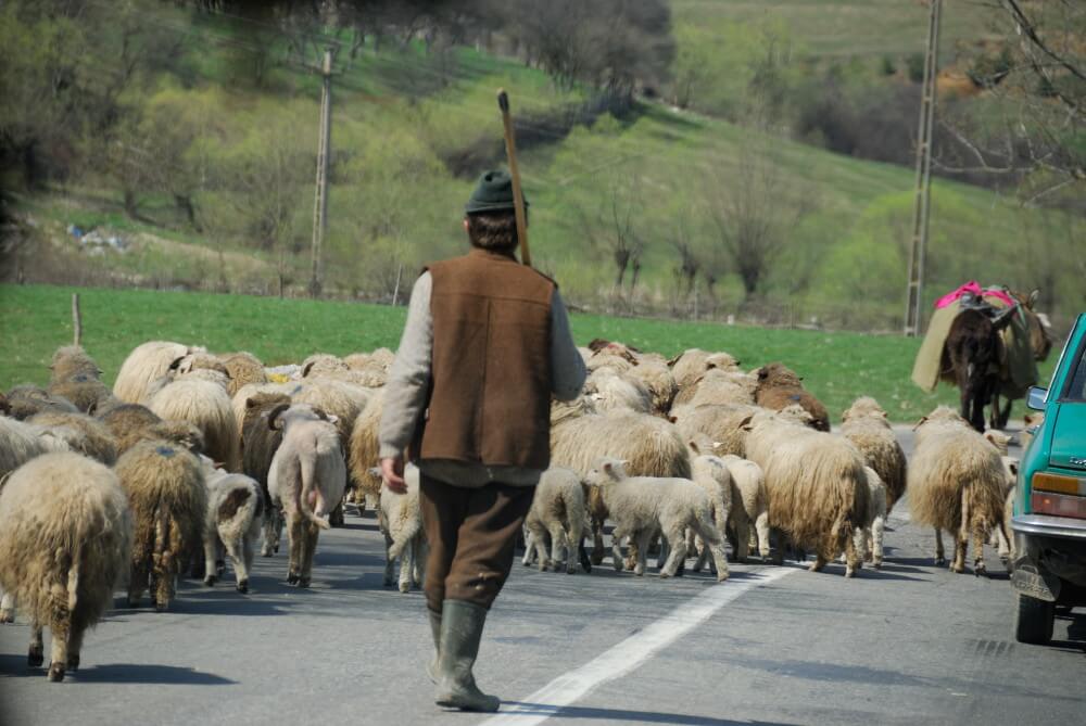 excursiones transilvania