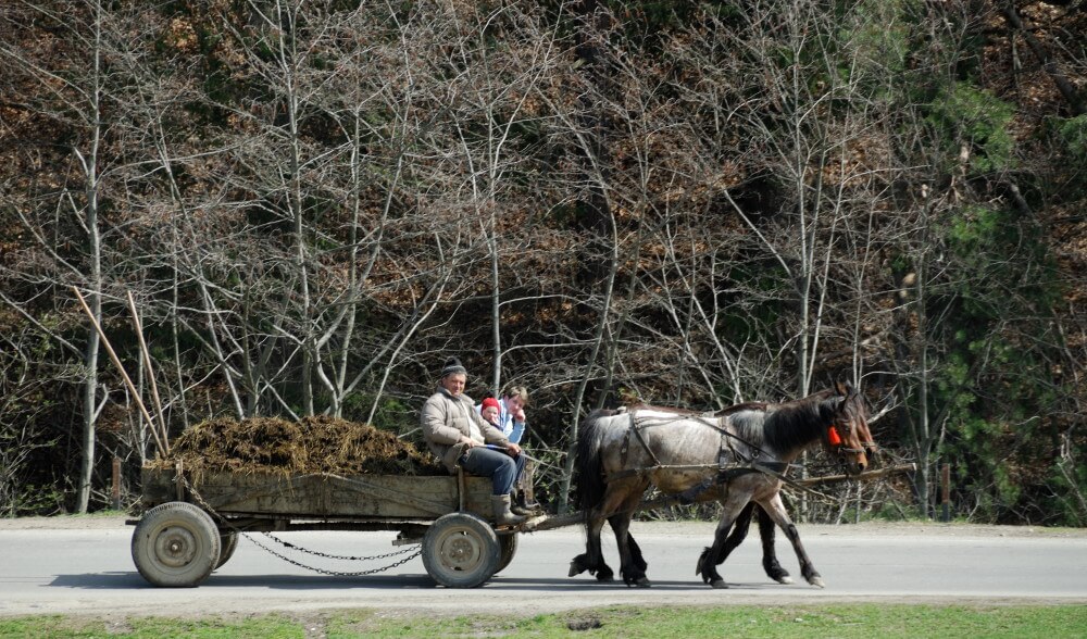 excursiones transilvania
