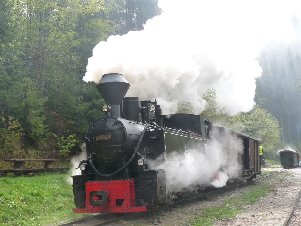 el tren de vapor rumania