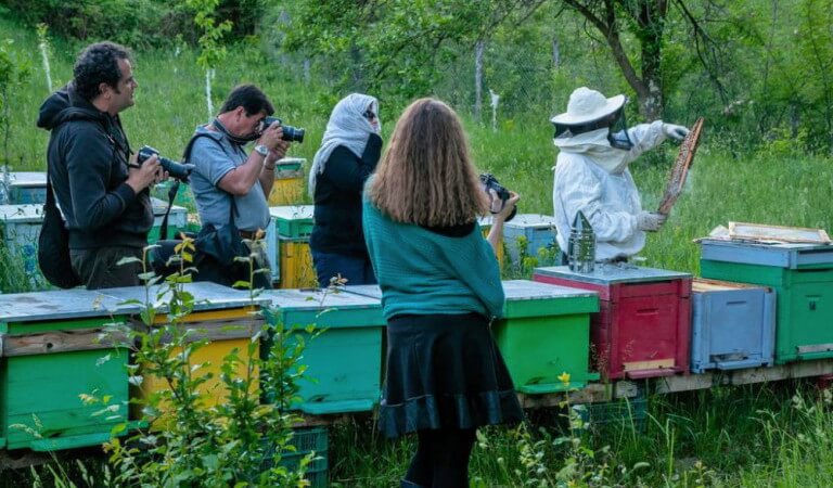 cursos de apicultura gratis en Rumania