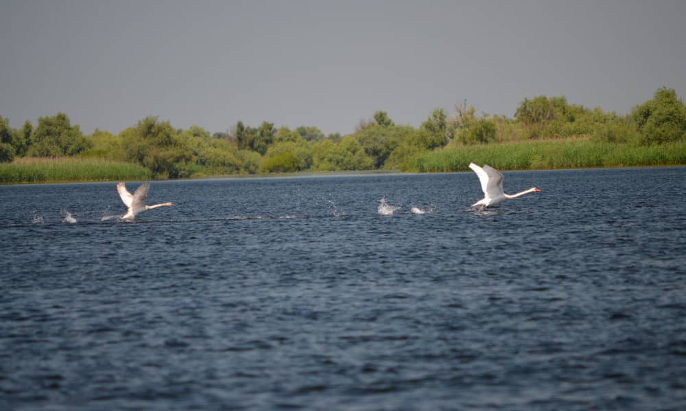 El delta del Danubio, Rumanía