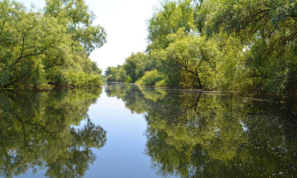 El delta del Danubio, Rumanía