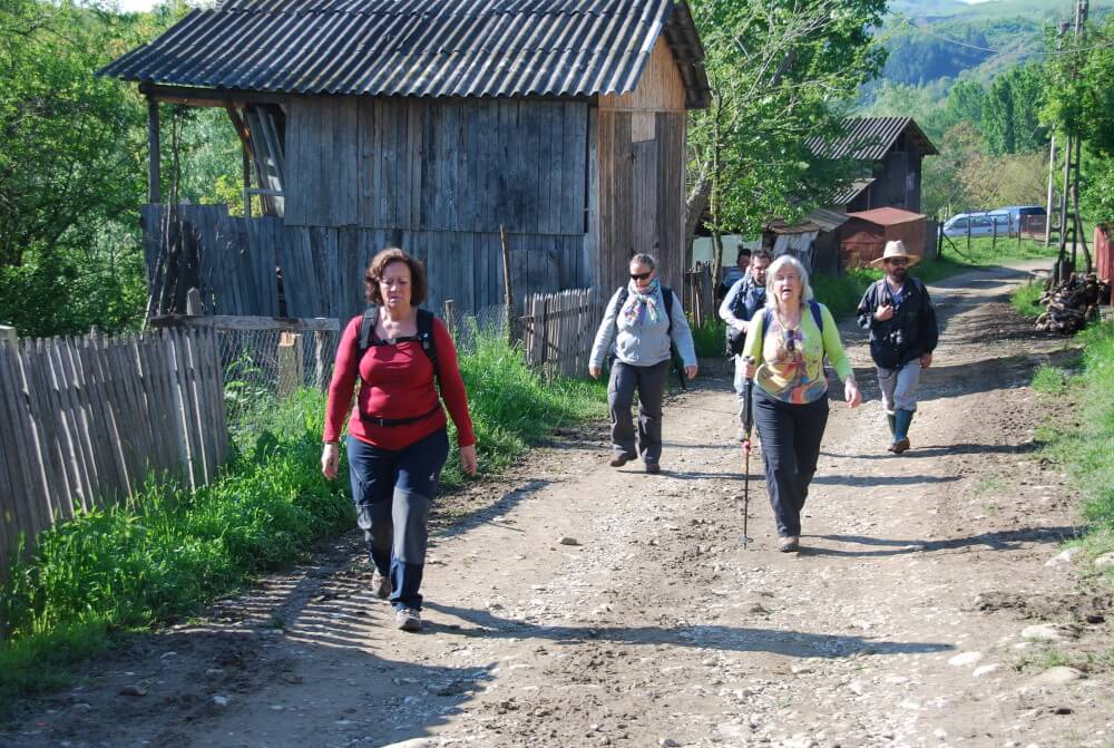 Desconectar en la naturaleza rumana