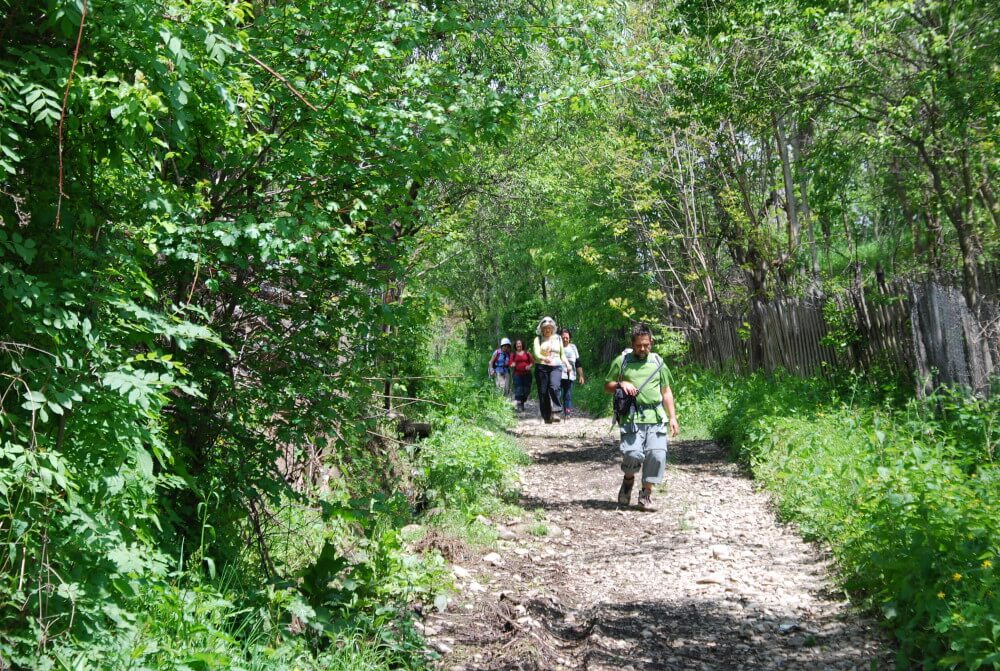 Desconectar en la naturaleza rumana