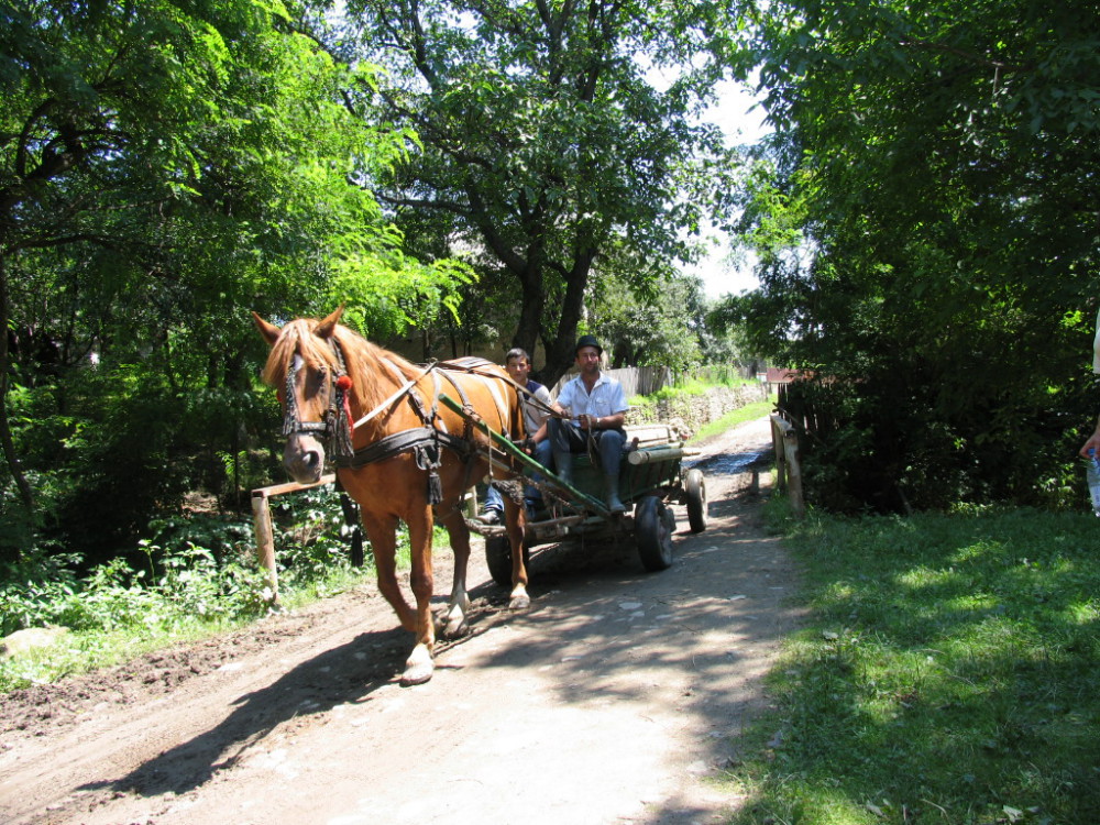 desconectar en un pueblo de rumania