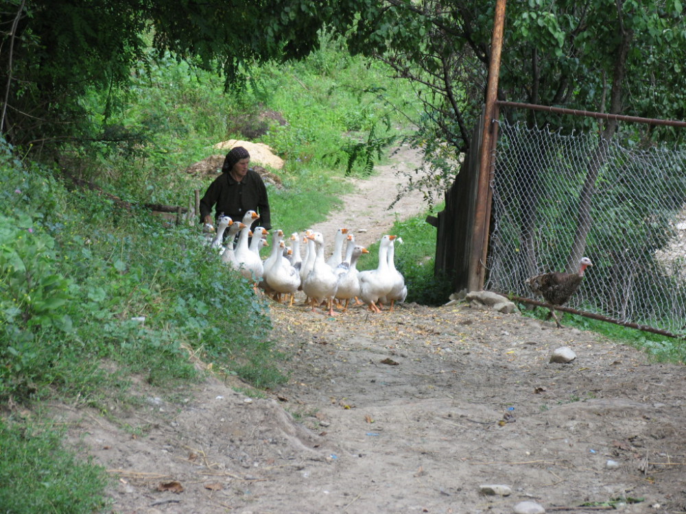 desconectar en un pueblo de rumania