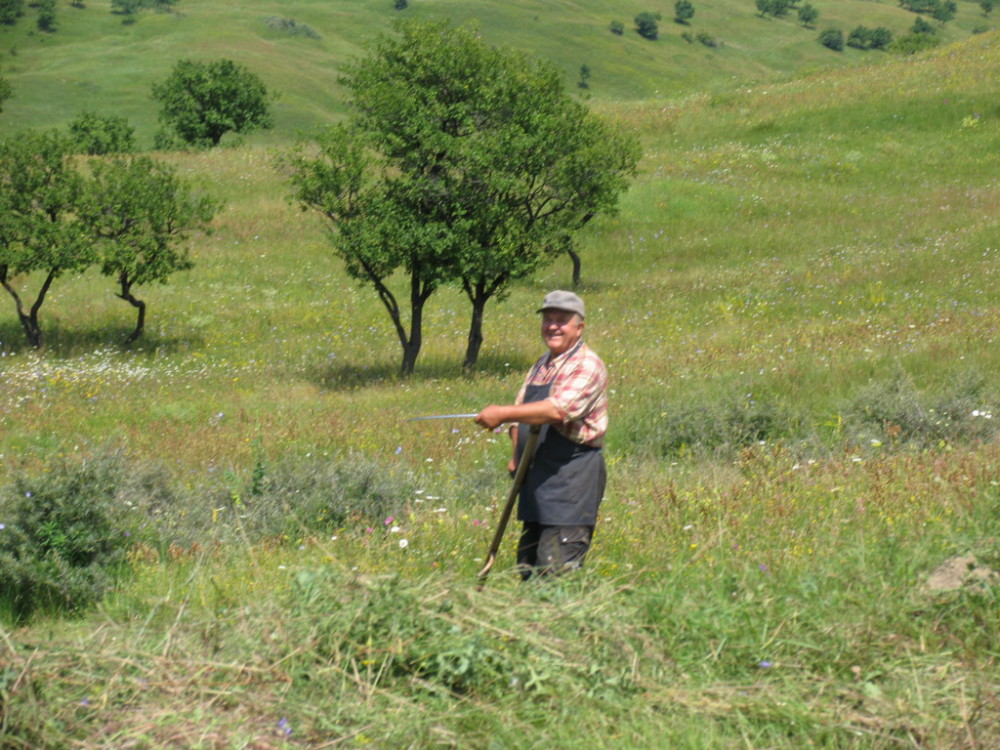 desconectar en un pueblo de rumania