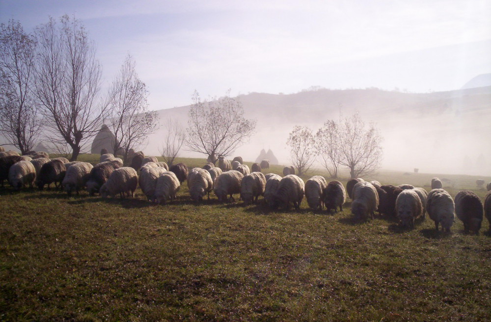 desconectar en un pueblo de rumania