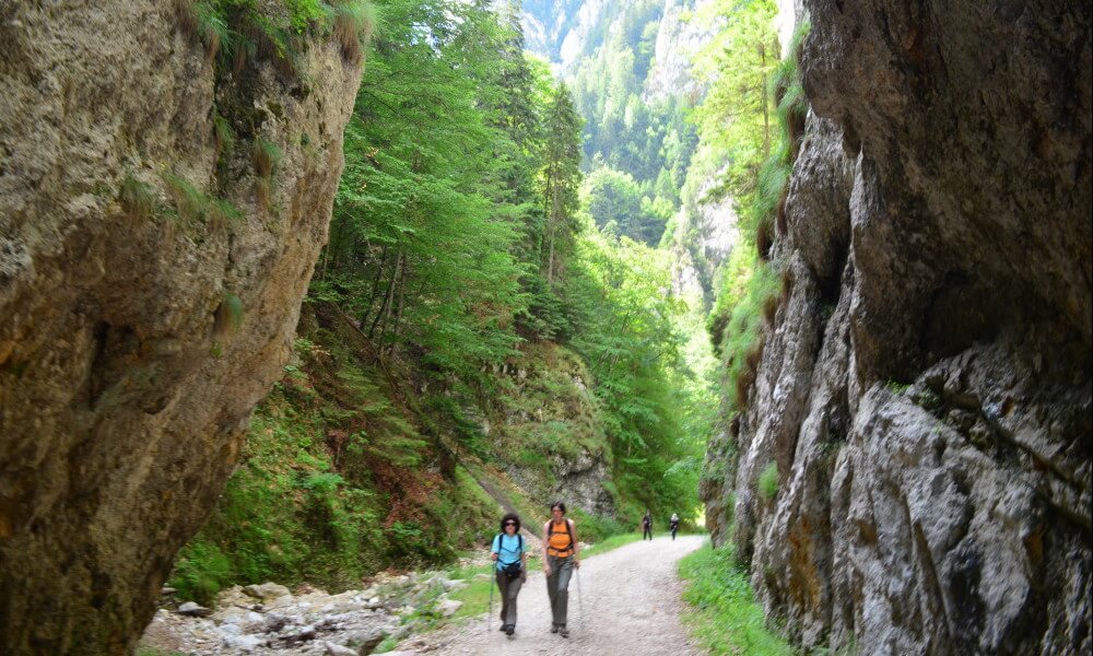 Naturaleza en Rumanía