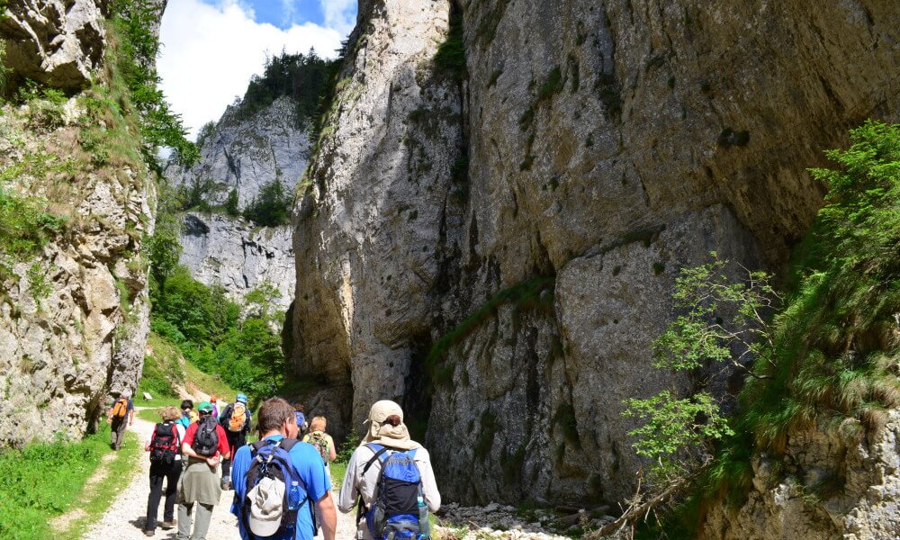 Rutas de senderismo en Prapastiile Zarnestilor