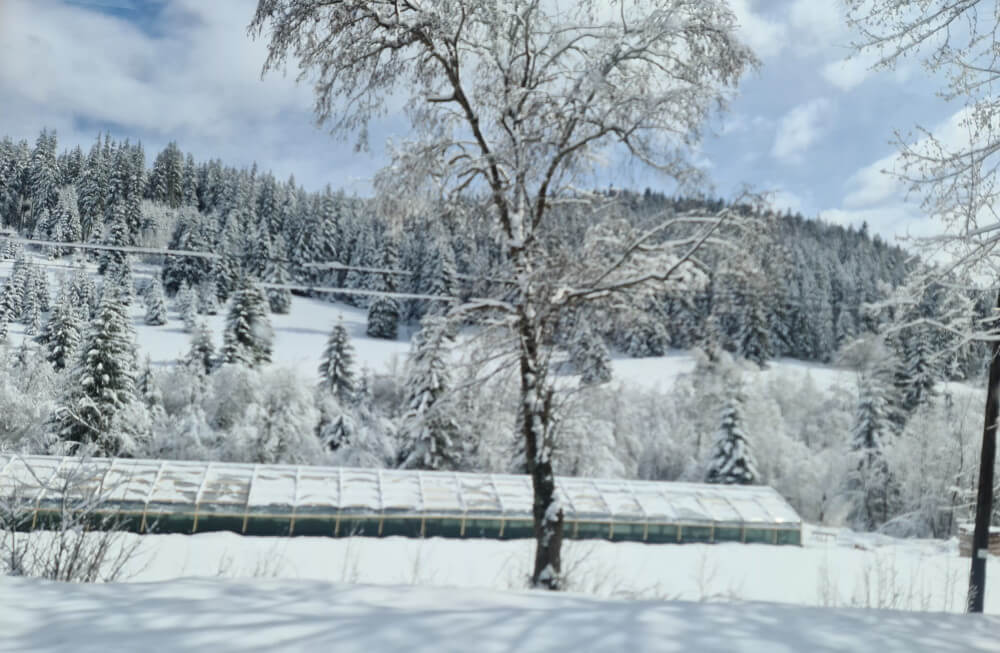 dormir en casa rural en rumania