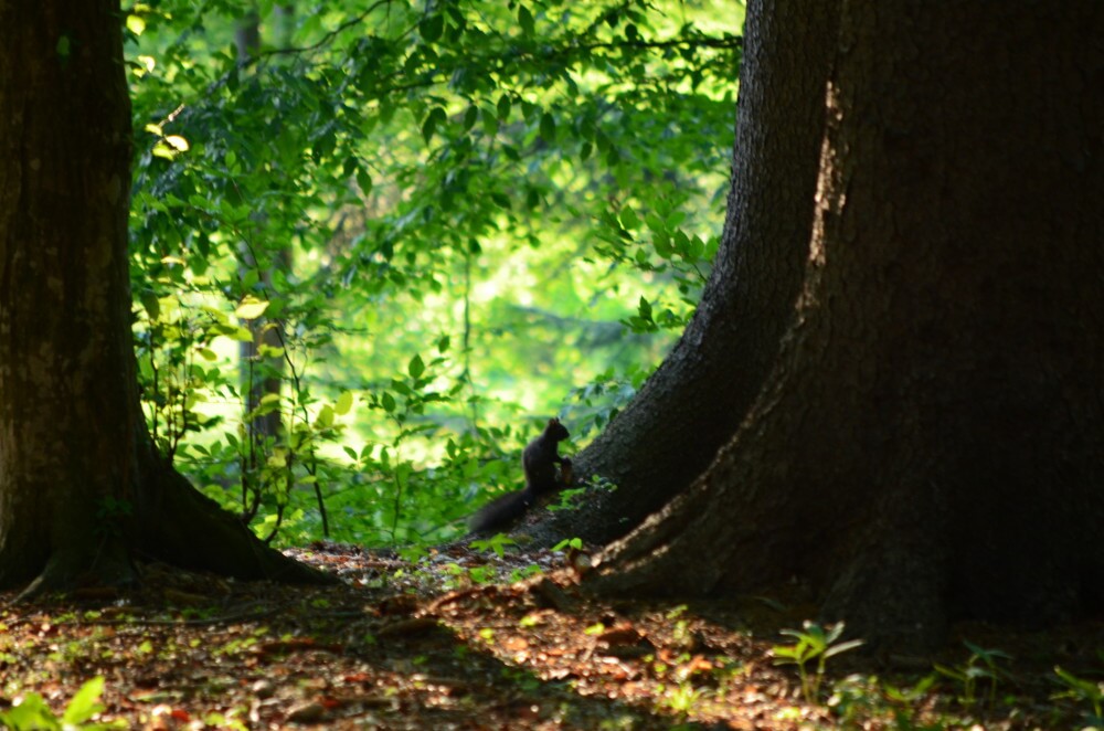dormir en casa rural en rumania