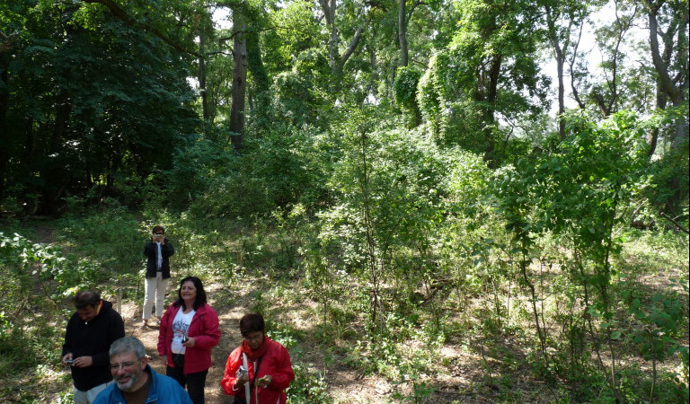 excursiones delta del Danubio