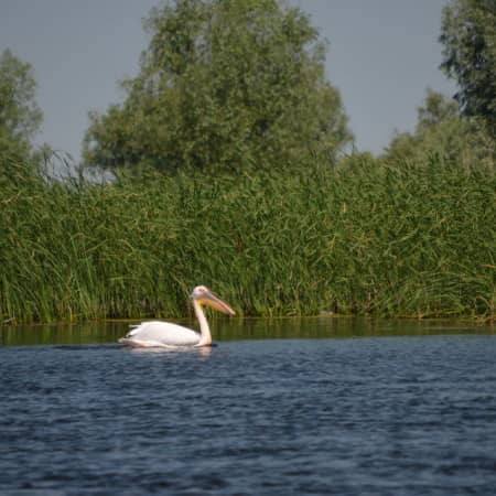 delta del danubio