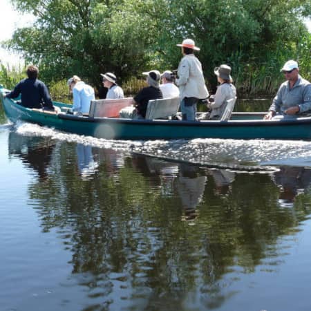 viajes de ornitologia delta del danubioa