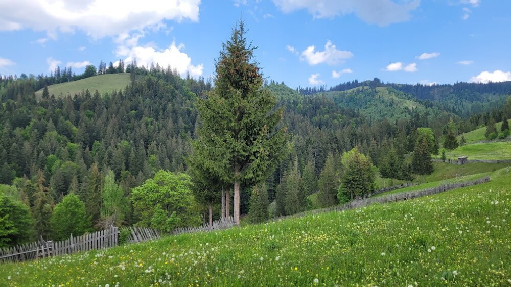 ruta senderismo bucovina