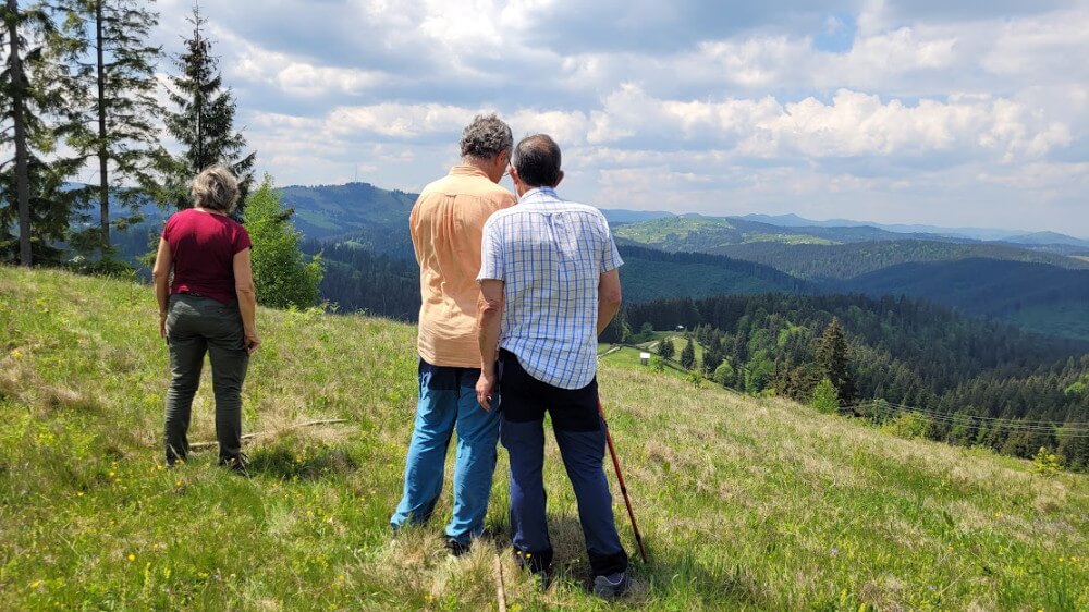 ruta senderismo bucovina