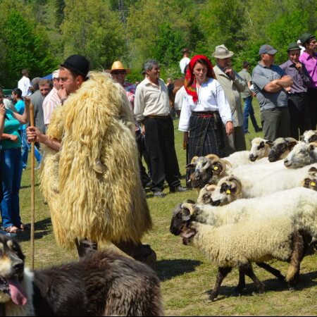 Fotos de Bucovina, circuitos bucovina, viajes a bucovina