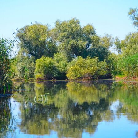 Fotos delta del Danubio