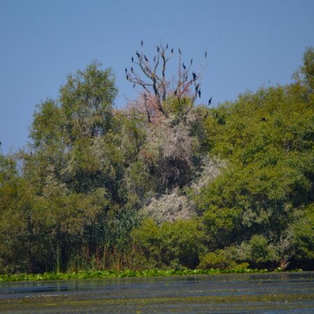 Imágenes y fotografías delta del Danubio