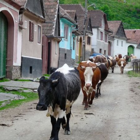 Imagenes de Rumania rural