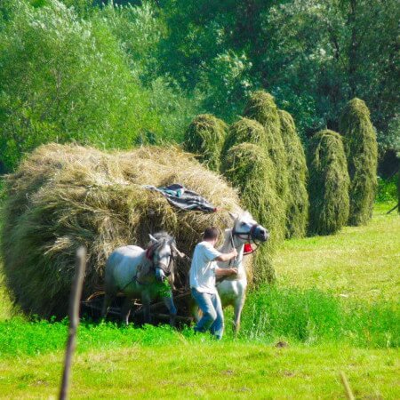 Turismo Maramures, Rumania