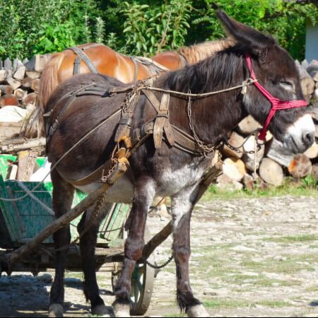 Mercadillo Rumania