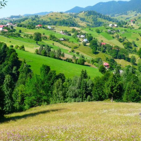 Transilvania, Los Carpatos