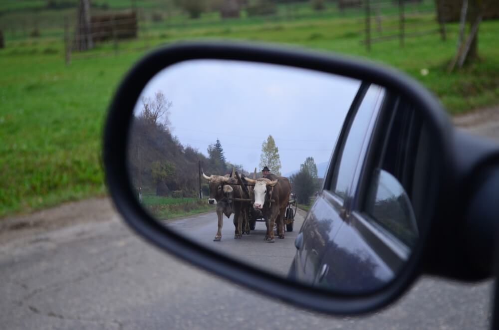 viajes a rumania con dorin paraschiv