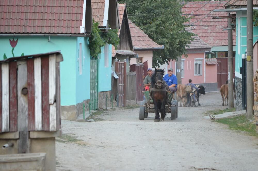 viajes a rumania con dorin paraschiv