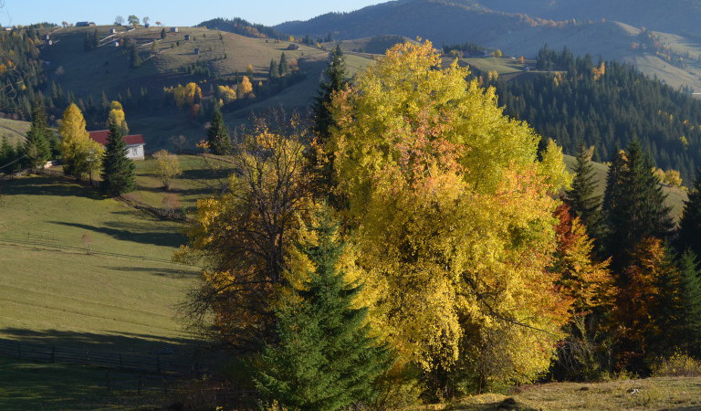 Viajes a Rumanía en otoño