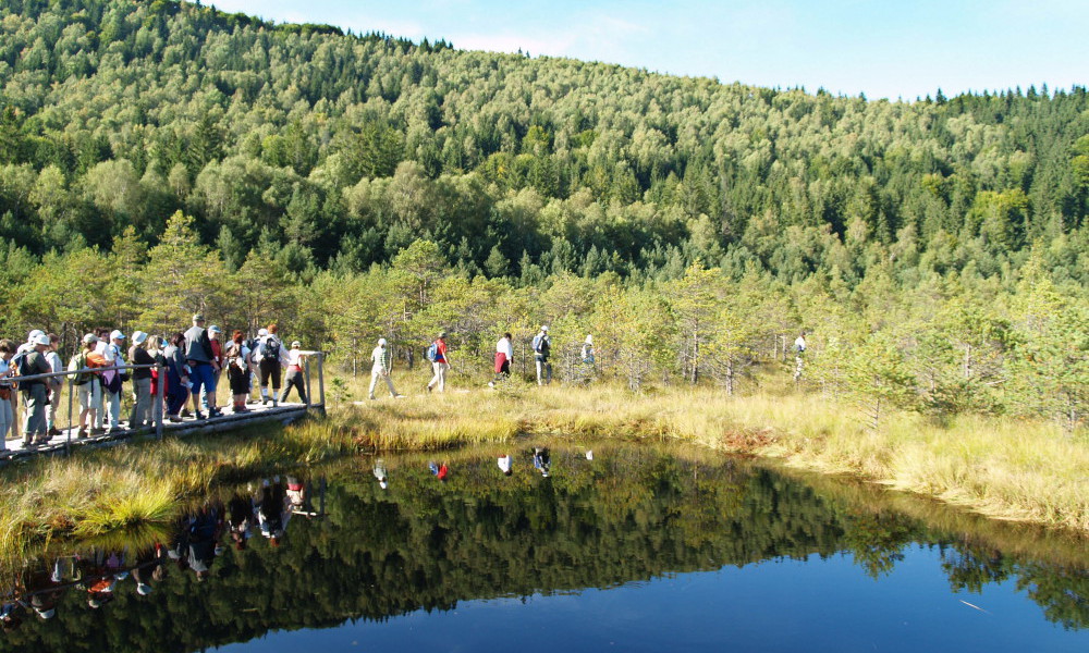 Reflejo del bosque en el Lago Santa Ana