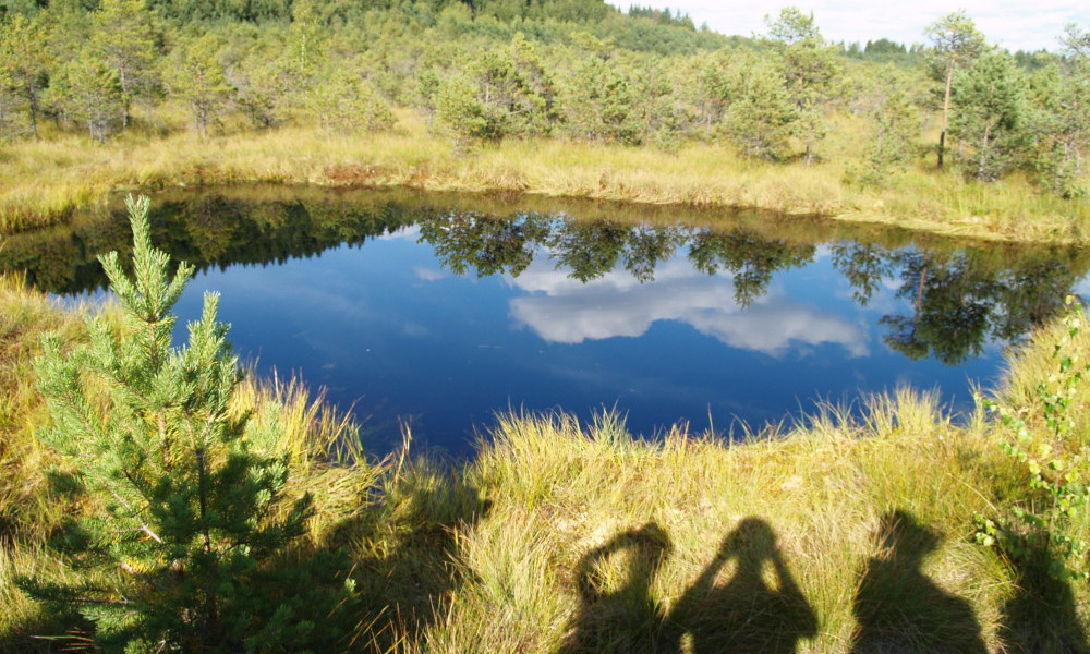 Vista del Lago Santa Ana rodeado de bosques