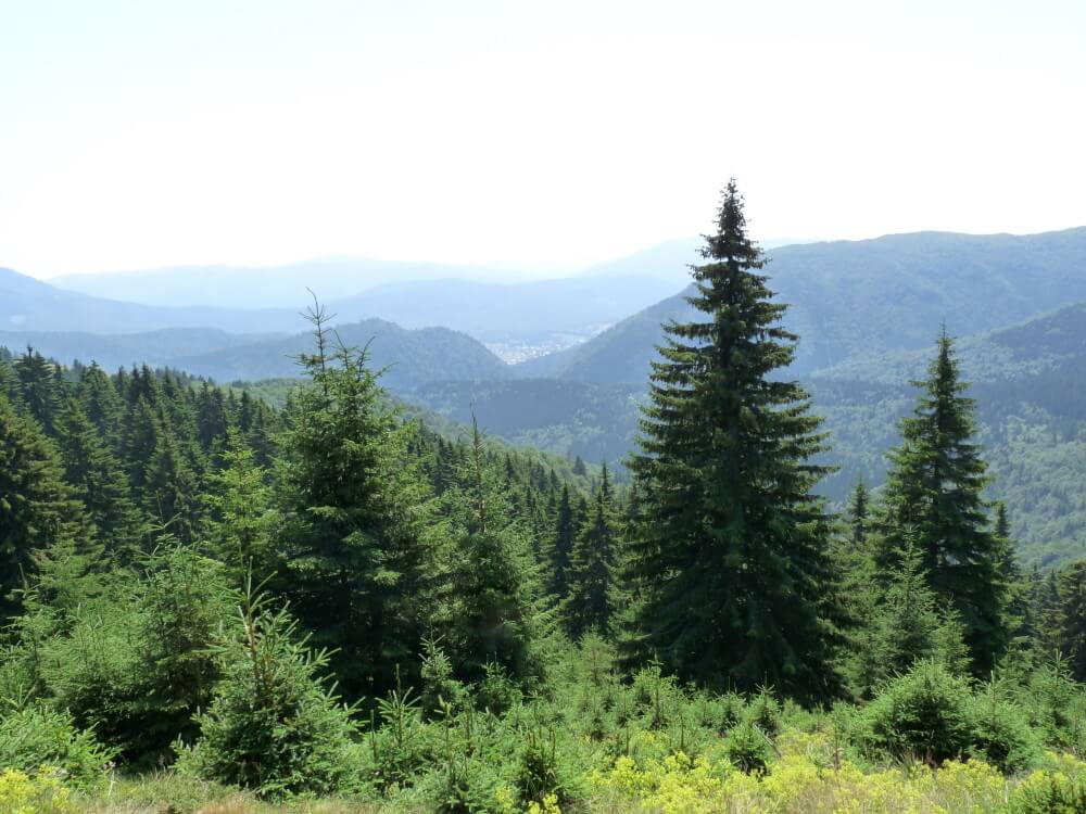 montes carpatos rumania