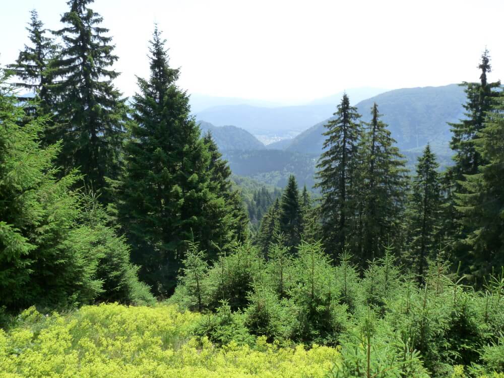 montes carpatos rumania