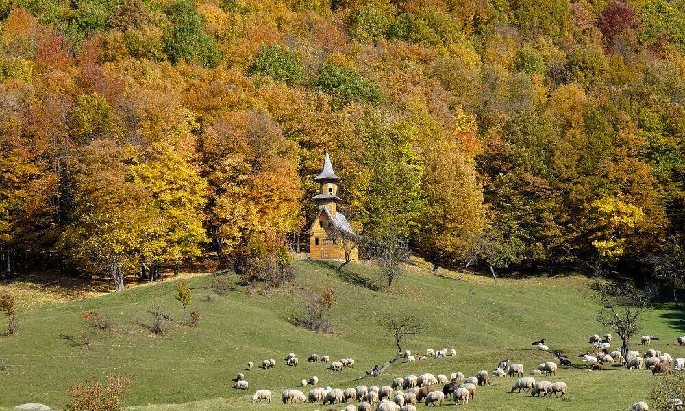 foto bosques de Rumania