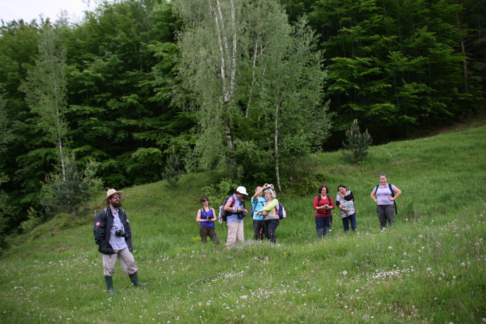 opiniones clientes casa rural carpatos
