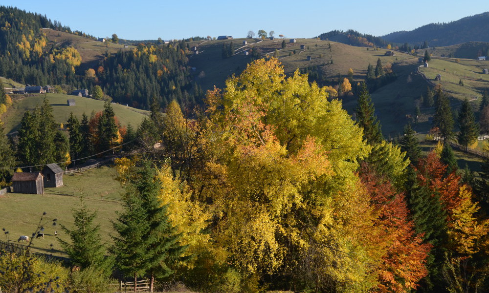 imagenes otoño en Rumania