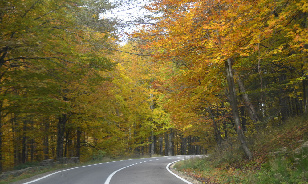 los Carpatos en otoño en Rumania